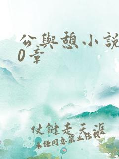 公与憩小说400章