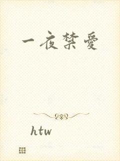 一夜禁爱