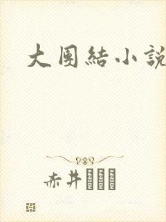 大团结小说全文