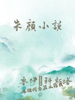 朱颜小说