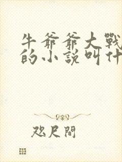 牛爷爷大战小丽的小说叫什么