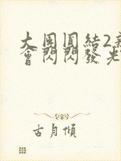 大团圆结2亲情会闪闪发光亲情会2