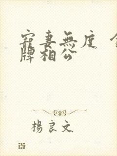 宠妻无度  金牌相公