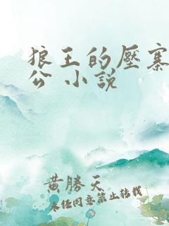 狼王的压寨小相公 小说