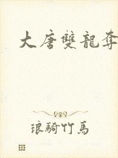 大唐双龙夺艳记