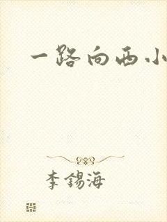 一路向西小说