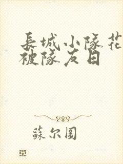 长城小队花木兰被队友日