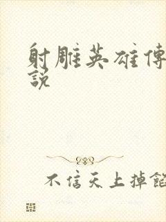 射雕英雄传 小说