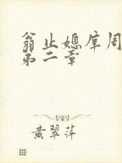 翁止媳庠周梦莹第二章