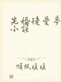先婚后爱梦筱二小说