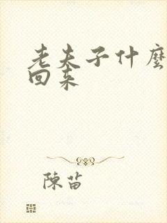 老夫子什么时候回来