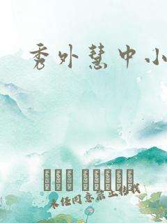 秀外慧中小说