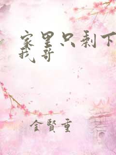 家里只剩下我和我哥