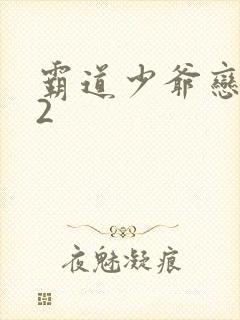 霸道少爷恋上我2