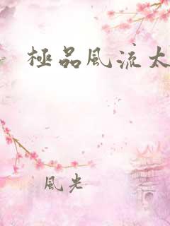 极品风流太子
