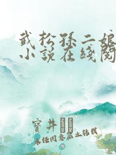 武松孙二娘云雨小说在线阅读