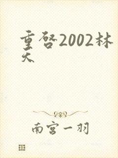 重启2002林天