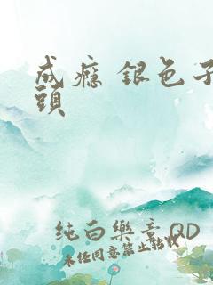 成瘾 银色子弹头