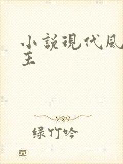 小说现代风流霸主