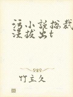 污小说总裁整夜没拔出t