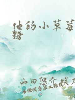 他的小草莓软糖糖