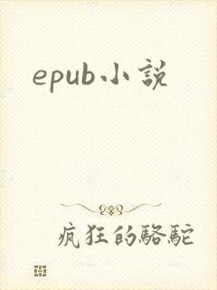 epub小说
