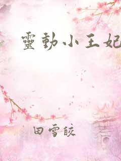 灵动小王妃