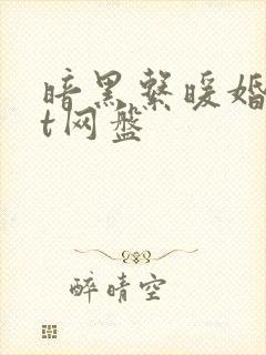 暗黑系暖婚txt网盘