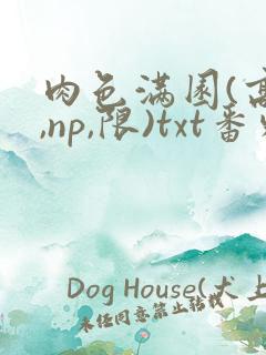 肉色满园(高h,np,限)txt番外篇