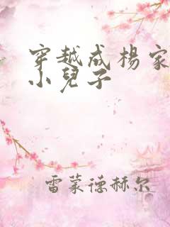 穿越成杨家将最小儿子