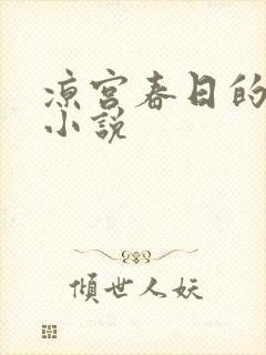 凉宫春日的忧郁小说