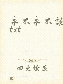 永不永不说再见txt
