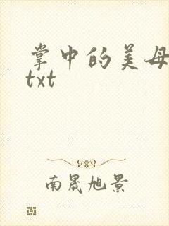 掌中的美母版主txt