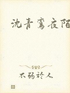 沈青鸾夜陌凌