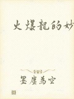火爆龙的妙管家