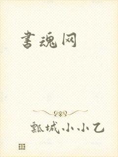 书魂网