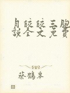 月皎皎三胞胎小说全文免费阅读