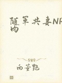 随军共妻NP纯肉