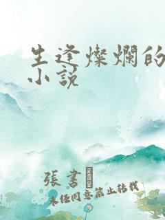 生逢灿烂的日子小说