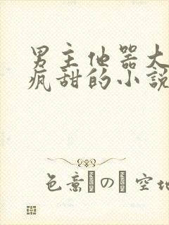 男主他器大活好疯甜的小说