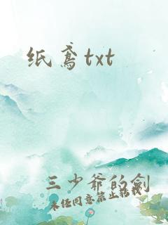 纸鸢txt