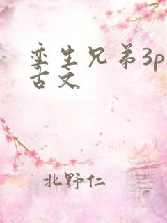 孪生兄弟3ph古文