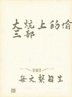 大炕上的偷乱第三部