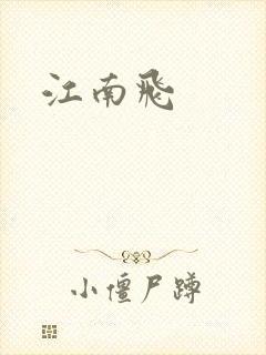 江南飞
