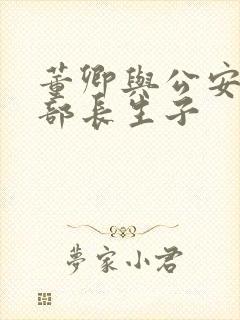 董卿与公安部副部长生子