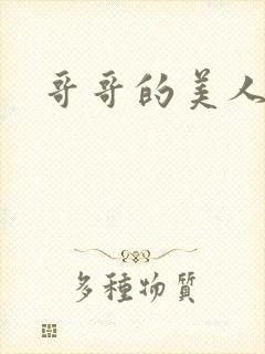 哥哥的美人