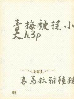 青梅被从小摸到大h3p