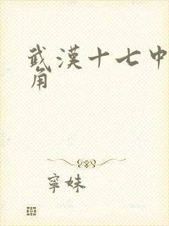 武汉十七中女主角