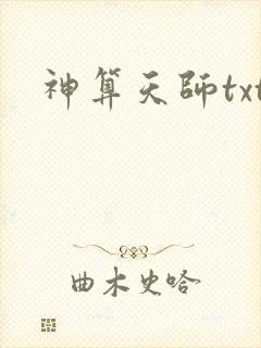 神算天师txt