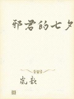 邪君的七夕皇妃